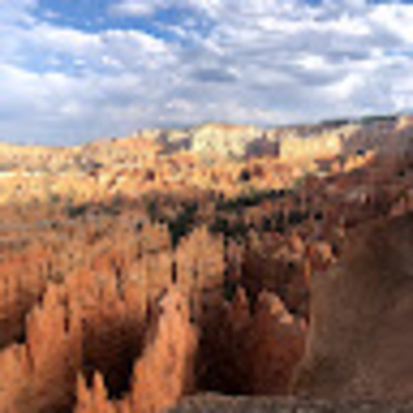 Meet your Posher, Lisa - Picture 1 of 1